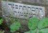 The grave was emptied and
the bond were sent to Jerusalem
.....Menachem Av.......